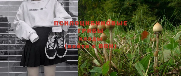 мдпв Новозыбков